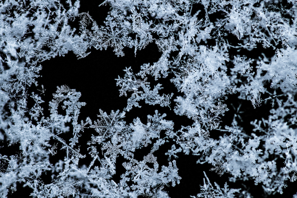 Platz 1 Robert Seitz